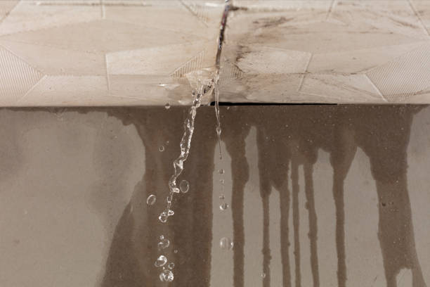 Professional Water Damage Restoration technician working in Findlay, OH
